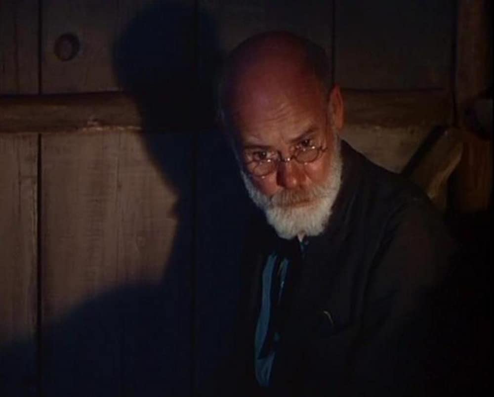 仔鹿物語の画像