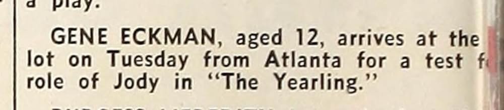 仔鹿物語の画像