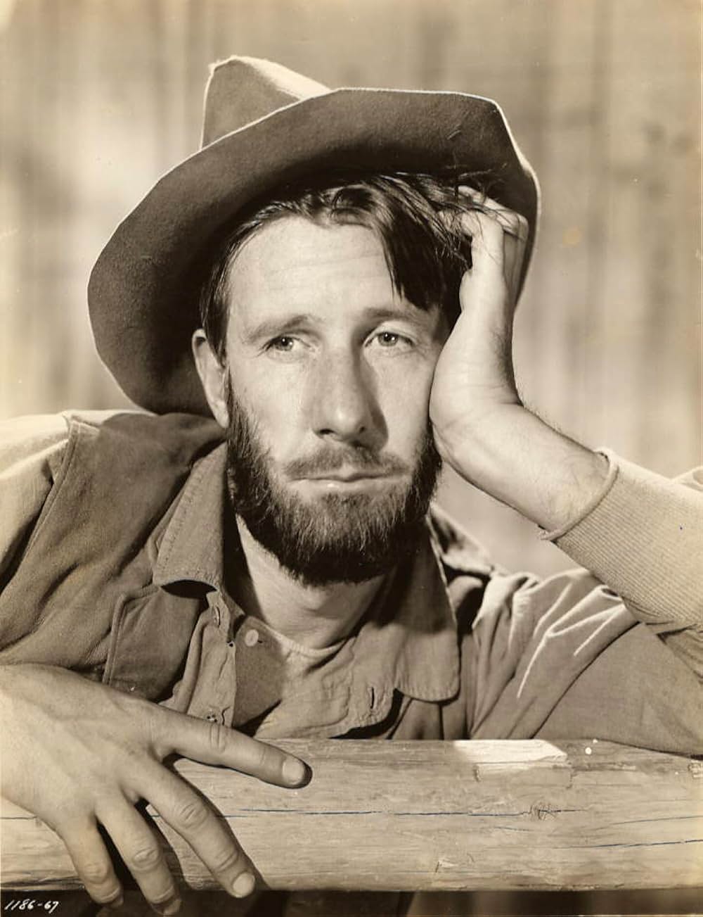 仔鹿物語の画像