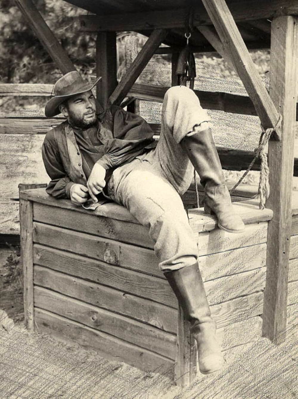 仔鹿物語の画像