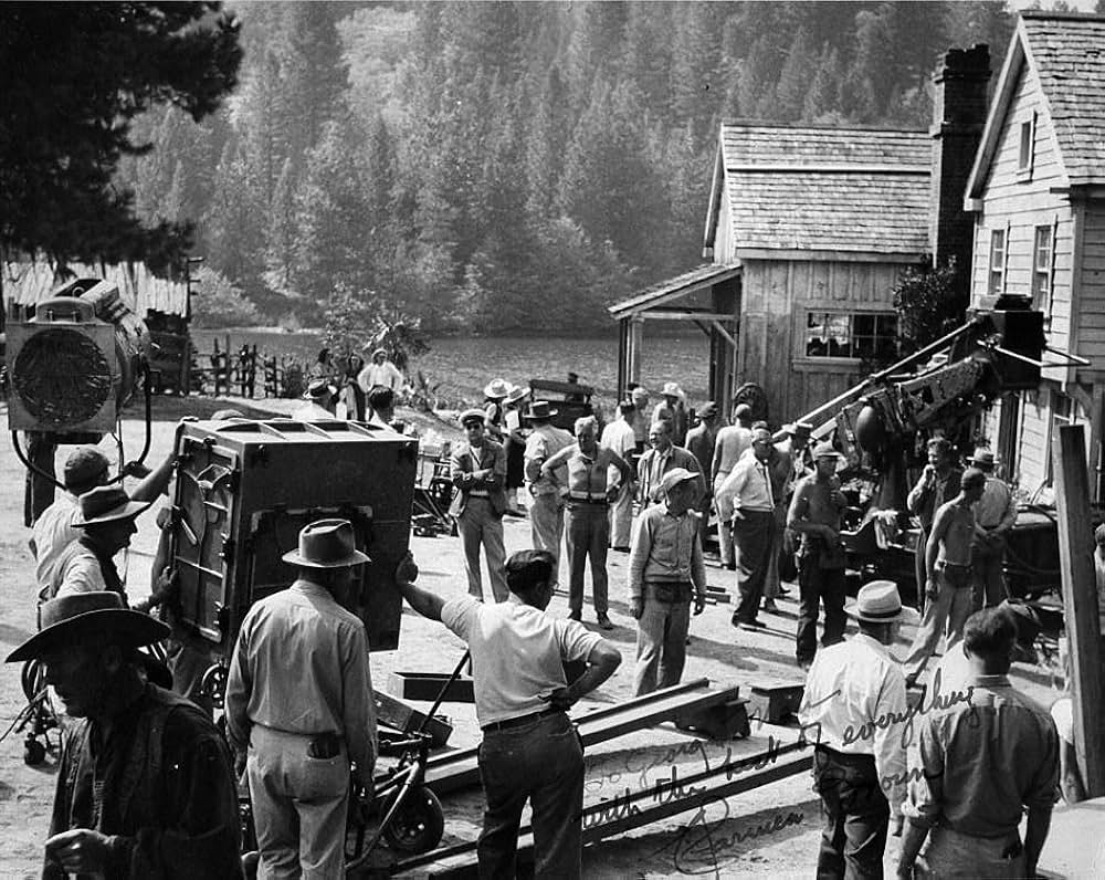 仔鹿物語の画像