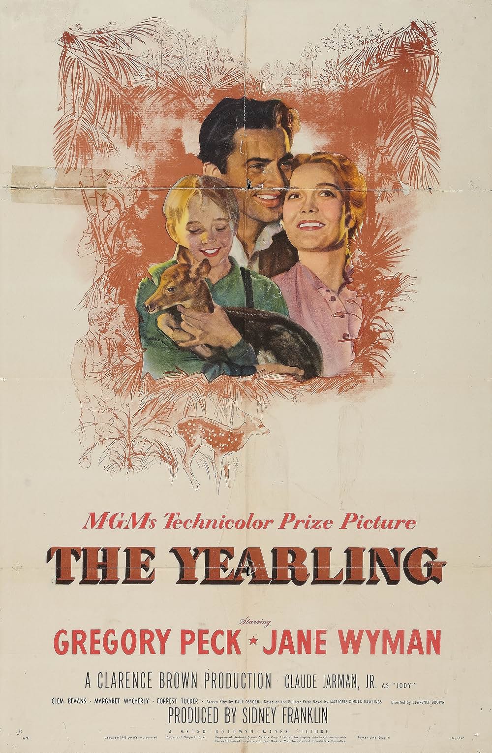 仔鹿物語の画像