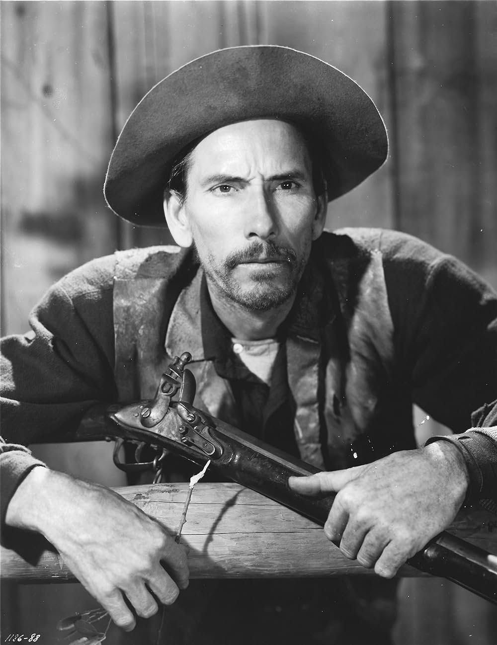 仔鹿物語の画像