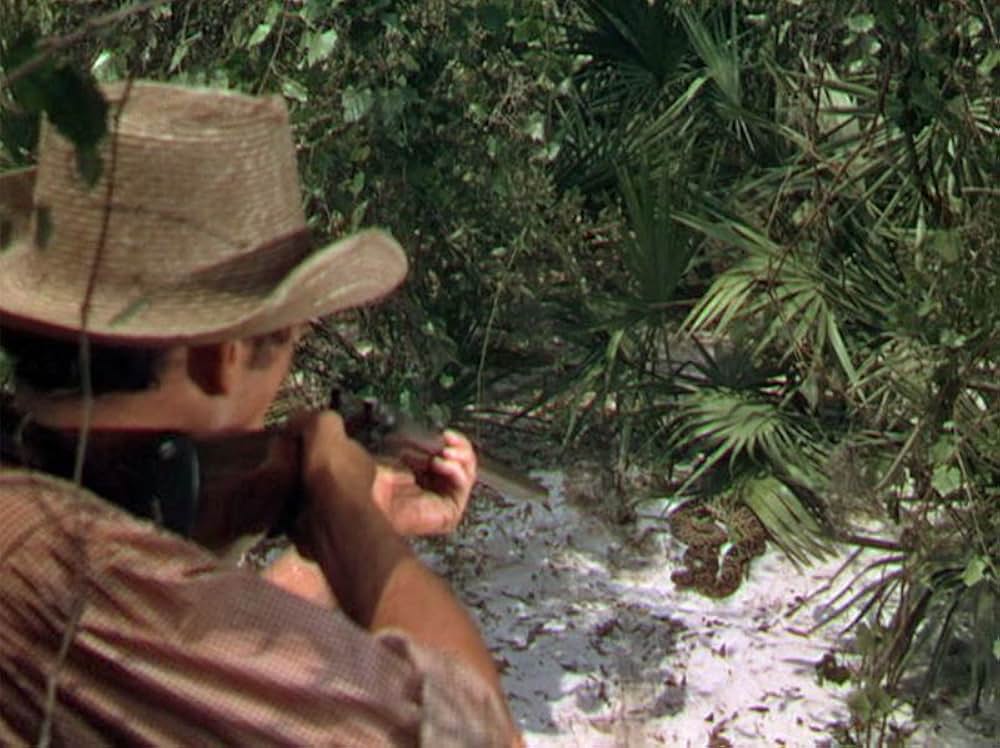 仔鹿物語の画像