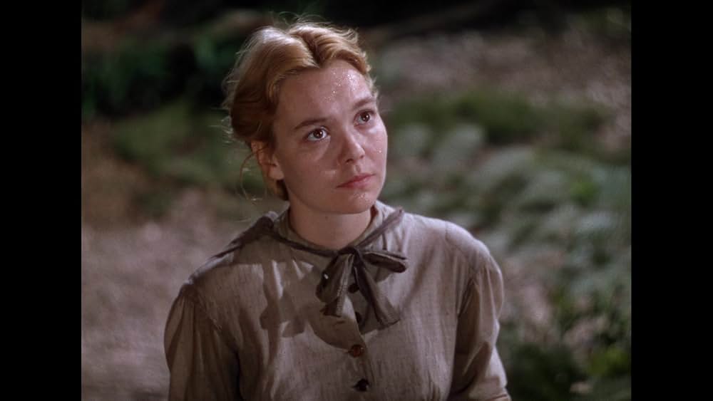 仔鹿物語の画像