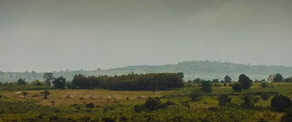 ビースト・オブ・ノー・ネーションの画像