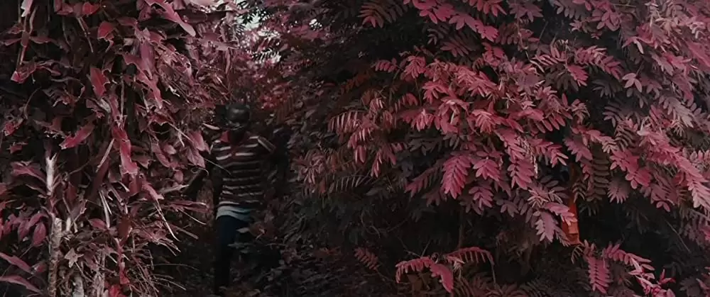 ビースト・オブ・ノー・ネーションの画像