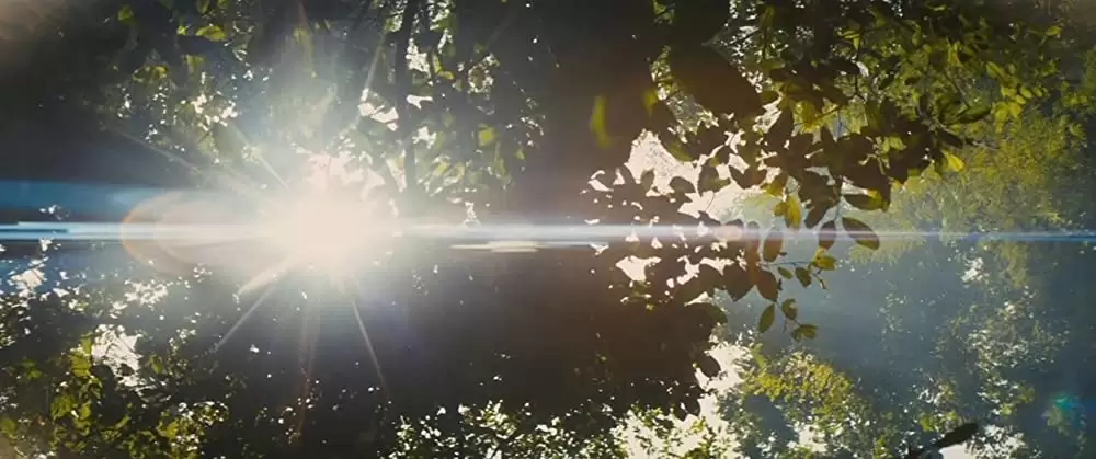 ビースト・オブ・ノー・ネーションの画像