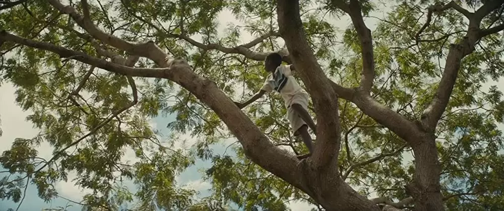 ビースト・オブ・ノー・ネーションの画像