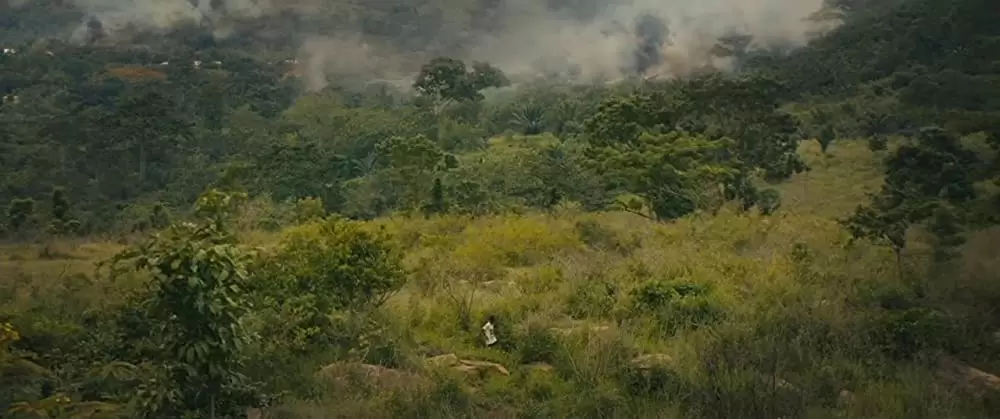 ビースト・オブ・ノー・ネーションの画像