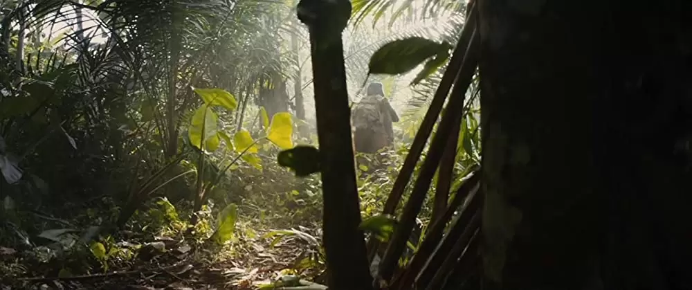 ビースト・オブ・ノー・ネーションの画像