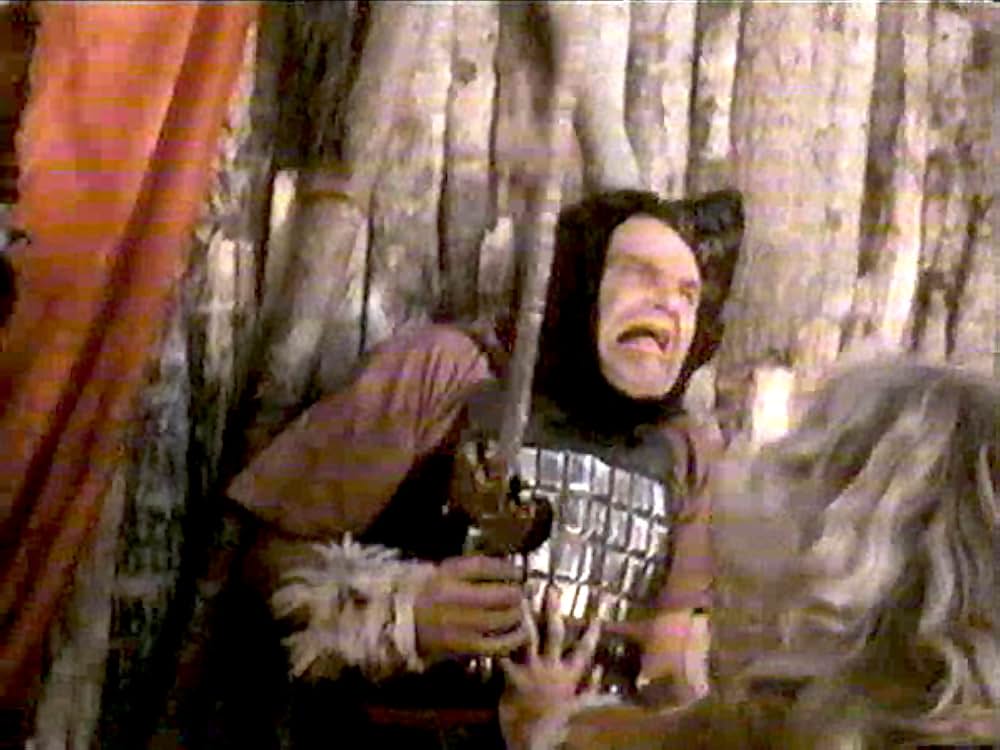 ウィザード／魔法の王国の画像