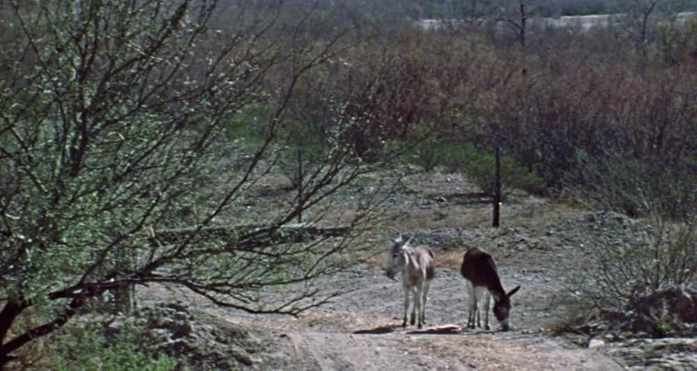 エンター・ザ・デビルの画像