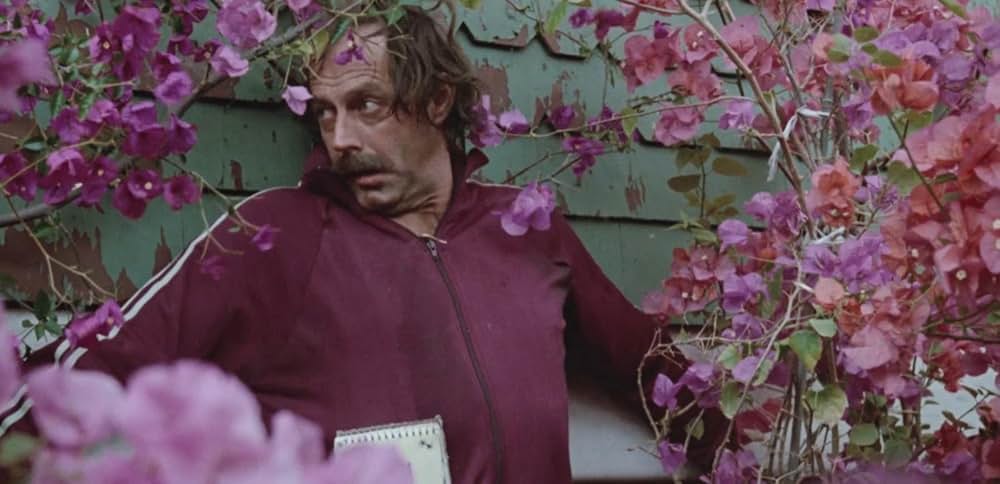 ブリス／あの世とこの世とこの野郎の画像