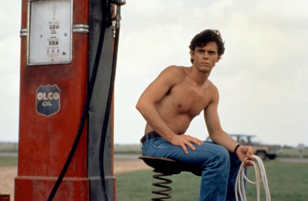 サマー・デイズの画像