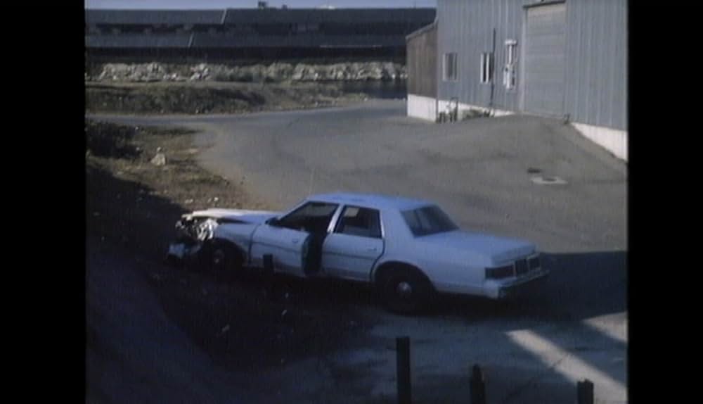 ジャングルウルフ2／復讐の一匹狼の画像