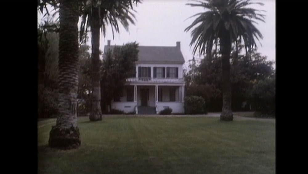 ジャングルウルフ2／復讐の一匹狼の画像