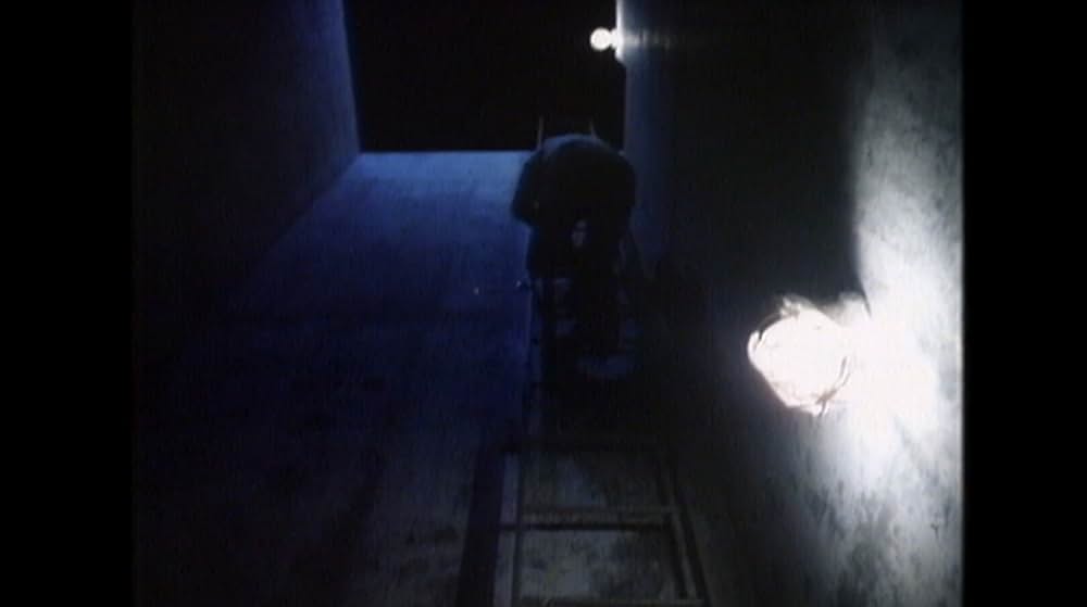 ジャングルウルフ2／復讐の一匹狼の画像