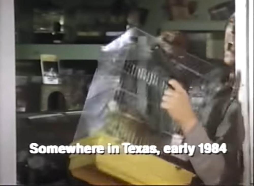 私立警官トラックスの画像