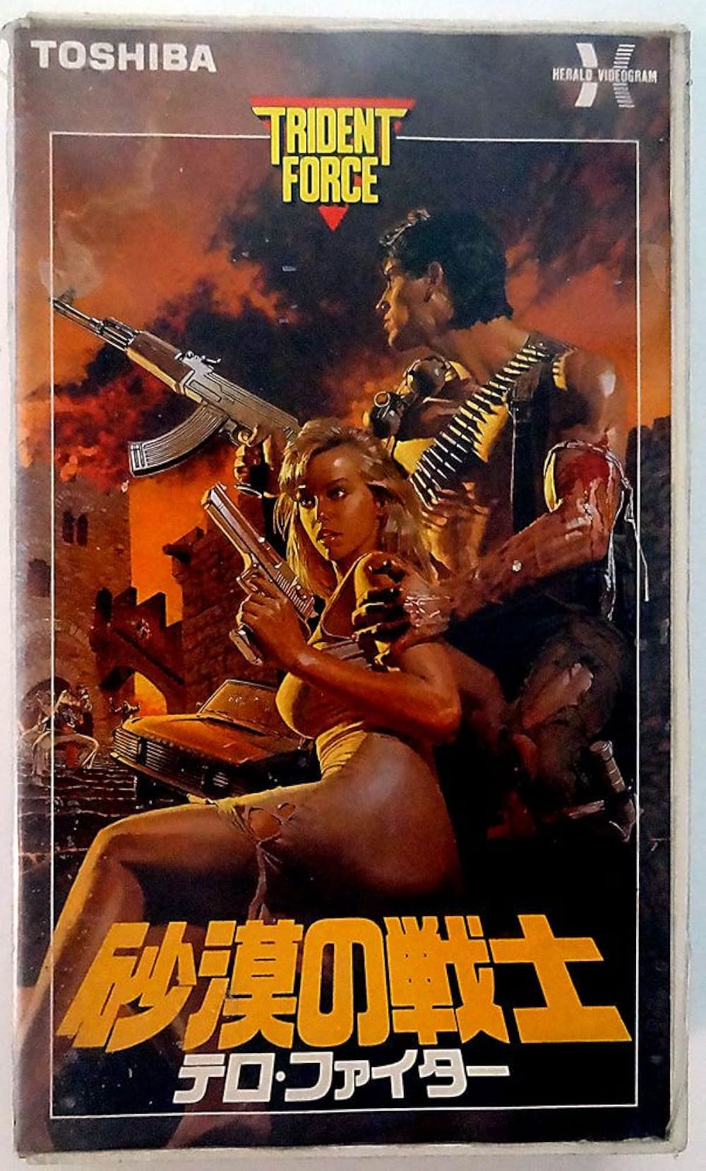 砂漠の戦士／テロ・ファイターの画像