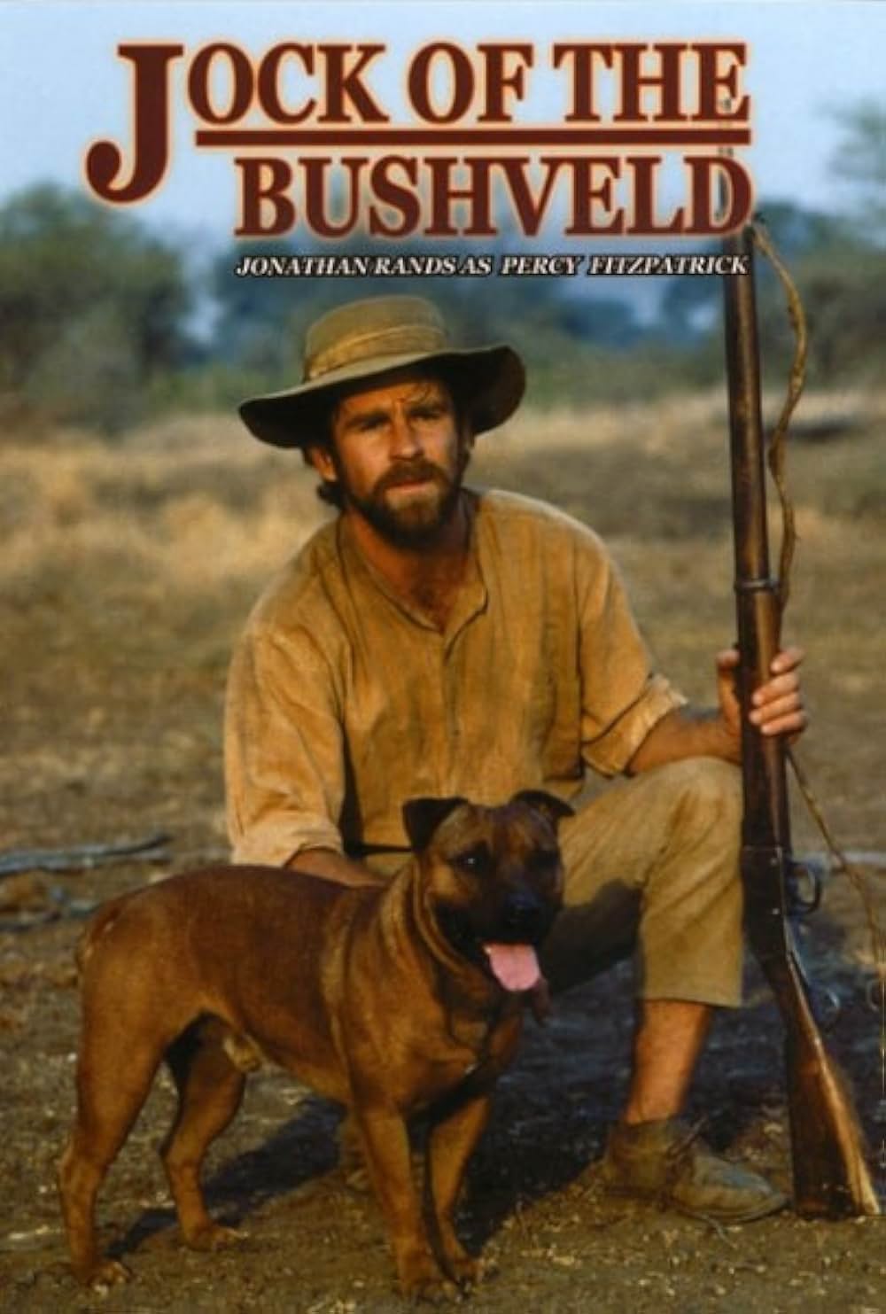 サバンナからの風／冒犬ジョック物語の画像