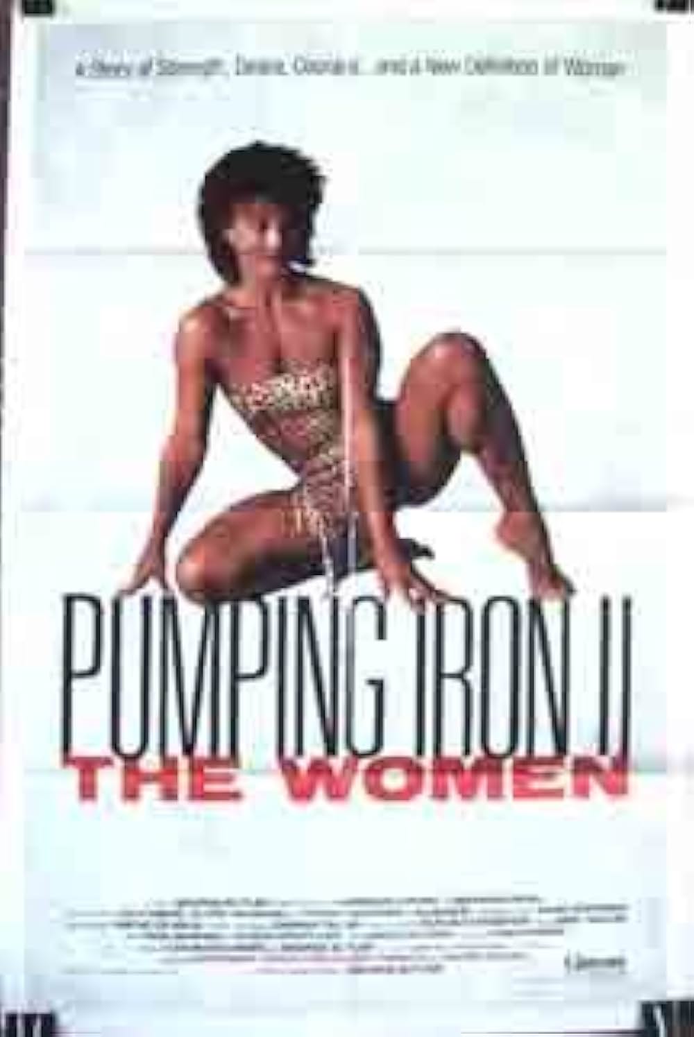 パンピン・アイアン IIの画像