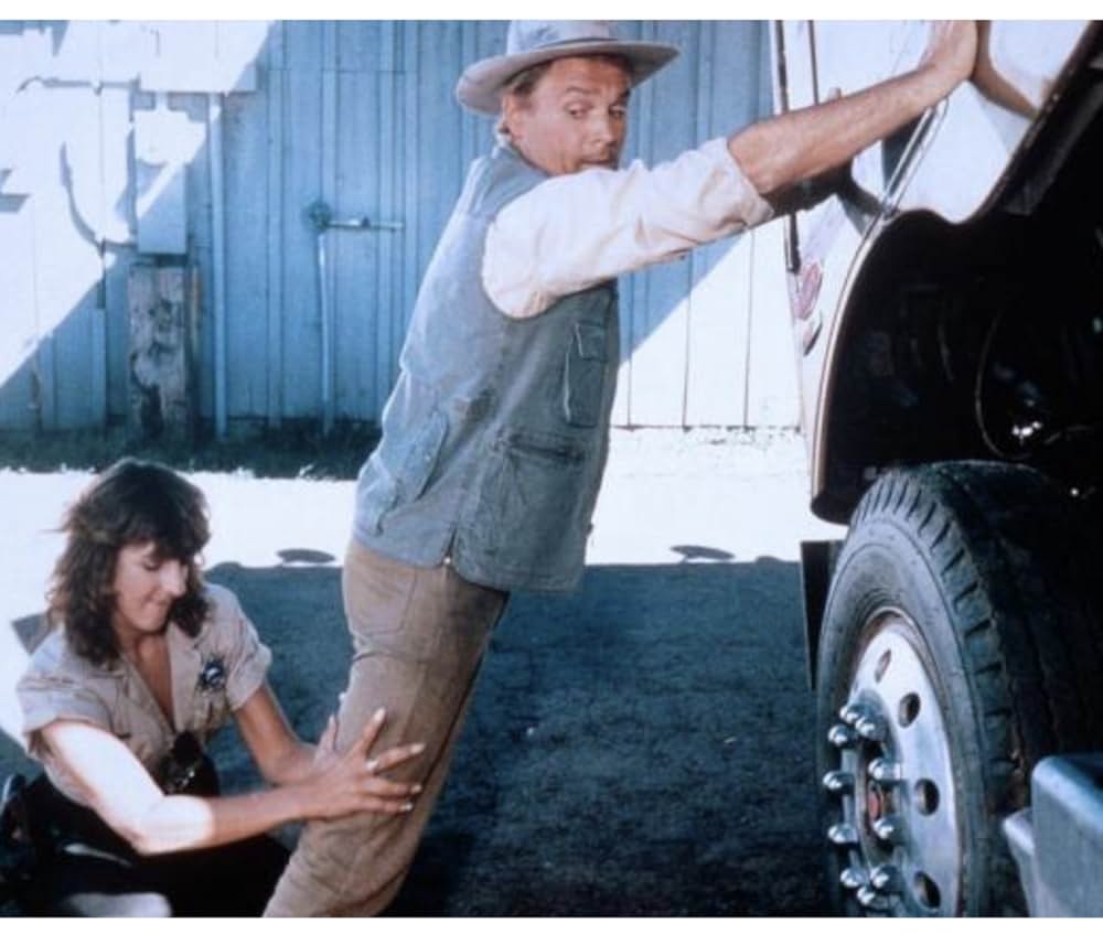 ビッグ・ファイターの画像