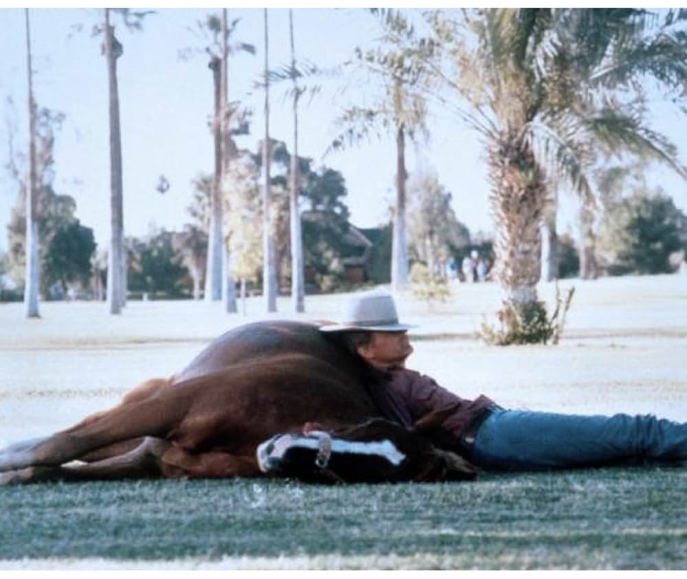 ビッグ・ファイターの画像