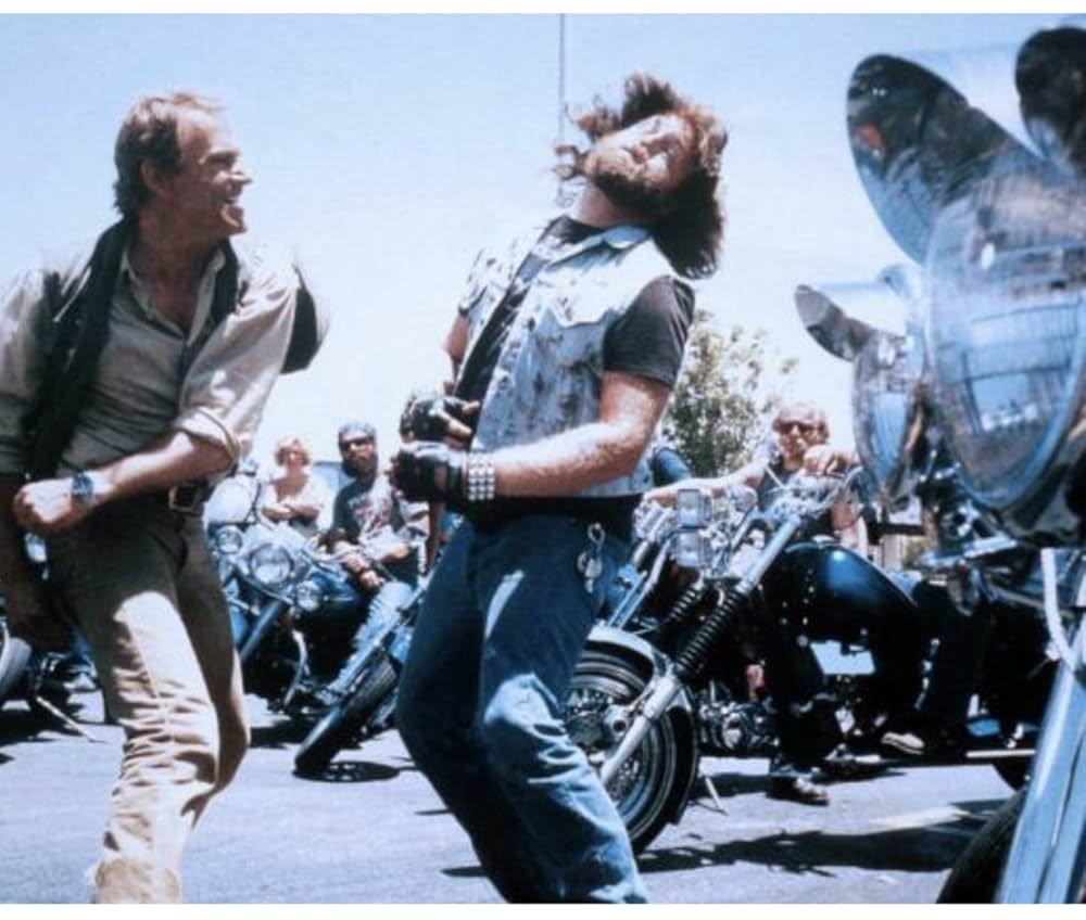 ビッグ・ファイターの画像