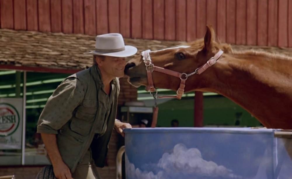 ビッグ・ファイターの画像