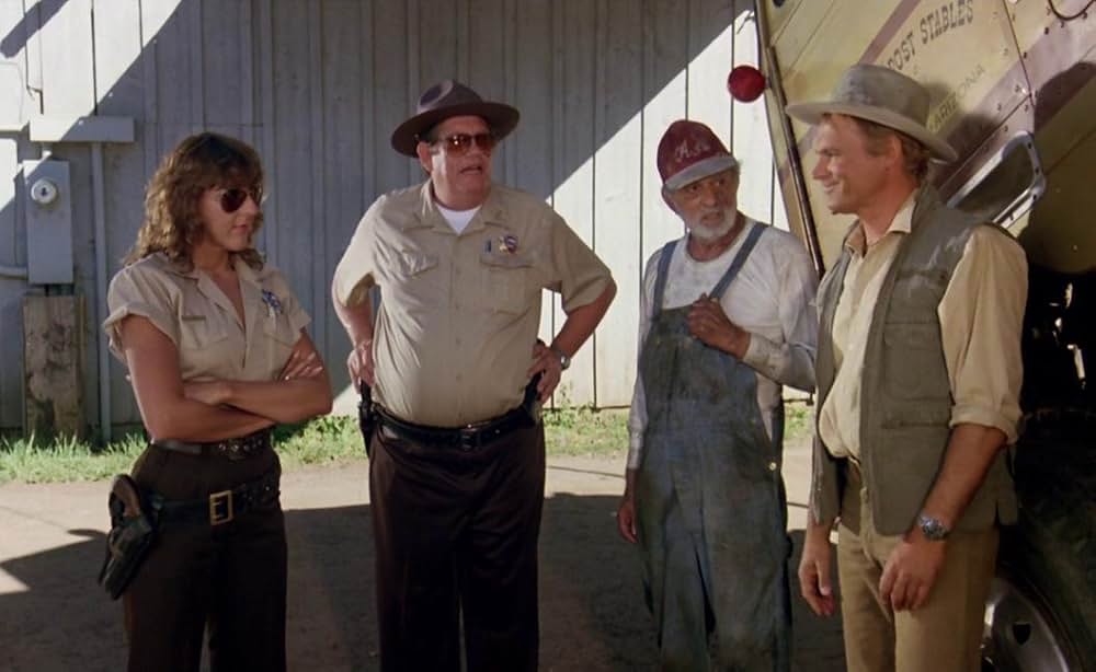 ビッグ・ファイターの画像