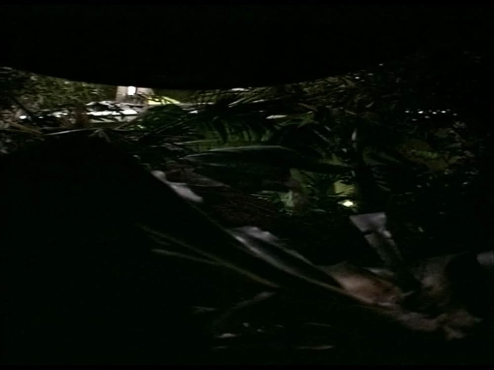 フェアーゲームの画像