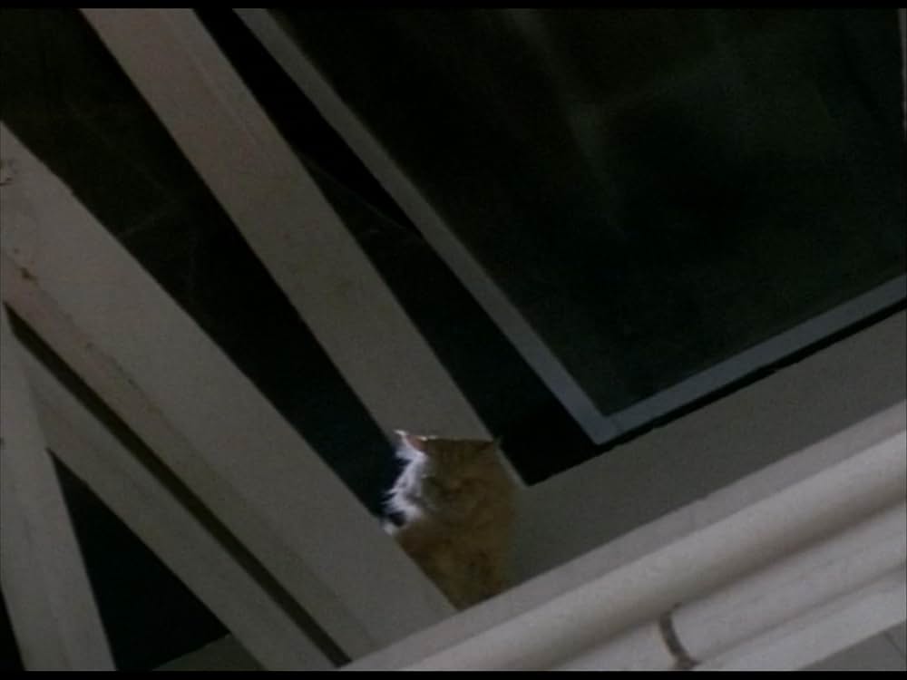 フェアーゲームの画像