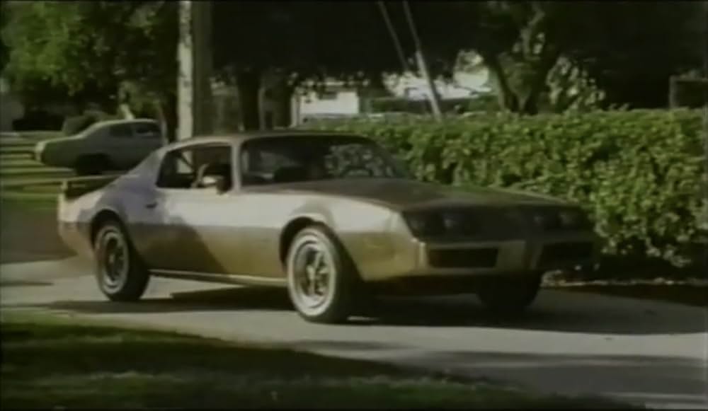 Truth or Dare?: A Critical Madness（原題）の画像