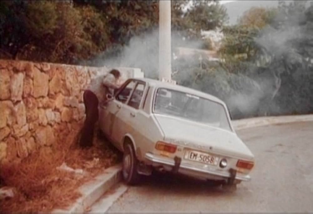 パトリシアの夏の画像