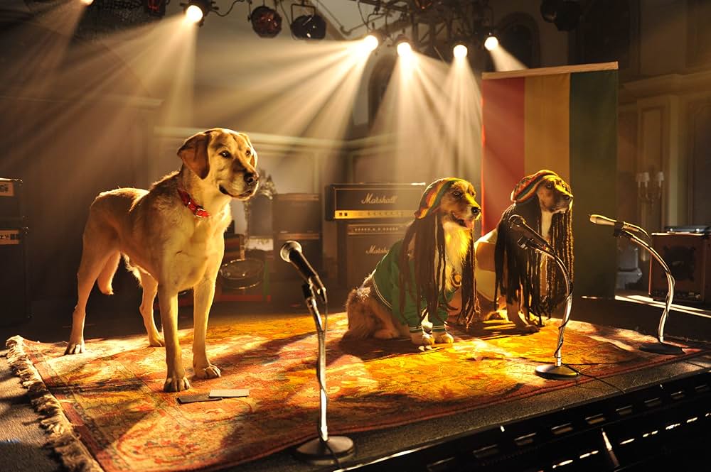 ビバリーヒルズ・チワワ3の画像