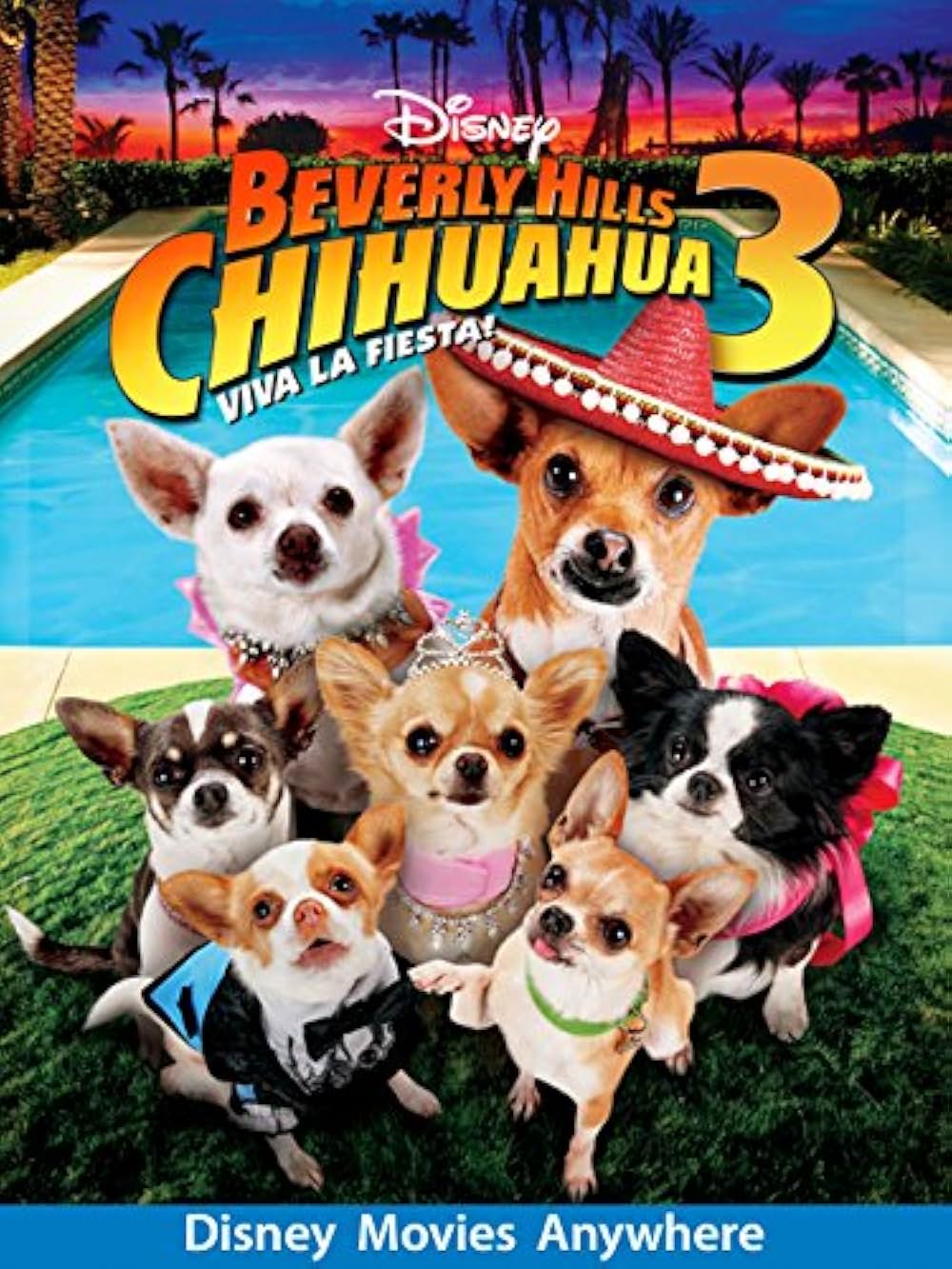 ビバリーヒルズ・チワワ3の画像