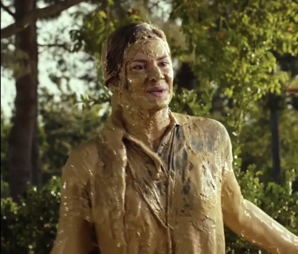 ビバリーヒルズ・チワワ3の画像