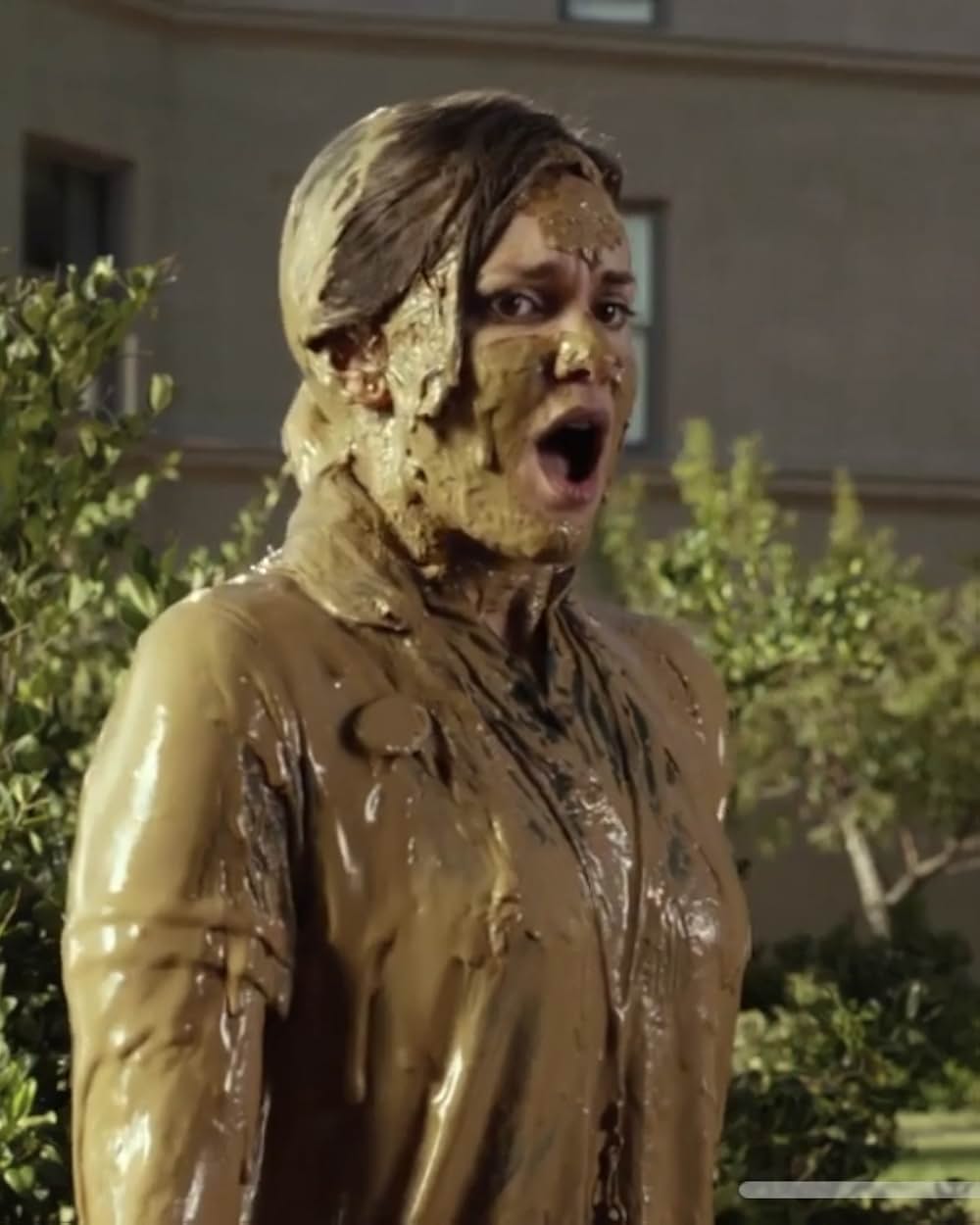 ビバリーヒルズ・チワワ3の画像