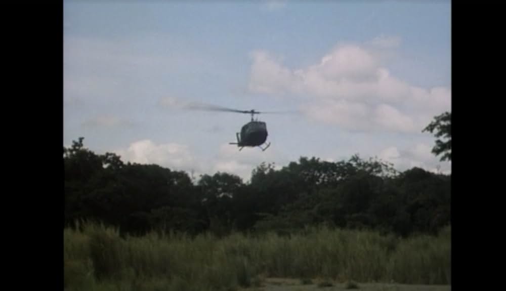 アイ・オブ・ザ・イーグルの画像