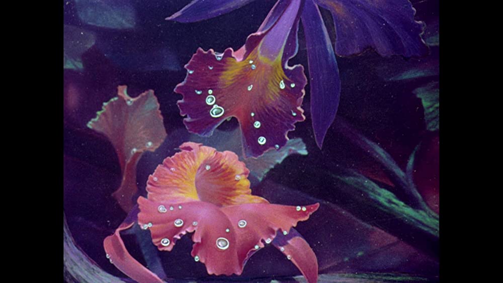 三人の騎士の画像