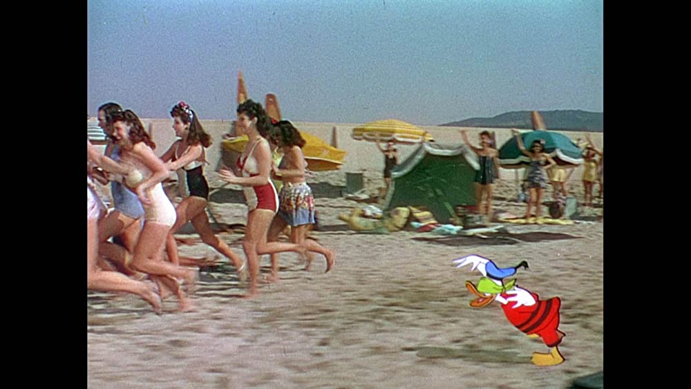 三人の騎士の画像