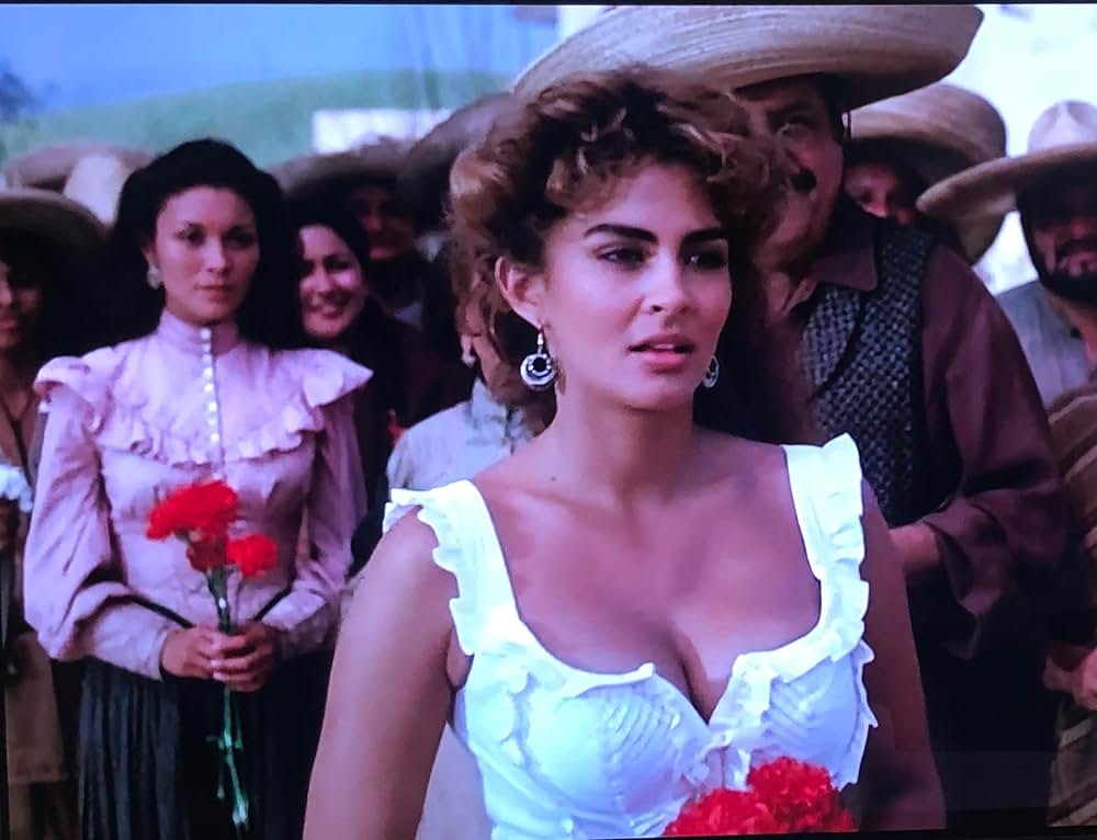 サボテン・ブラザースの画像