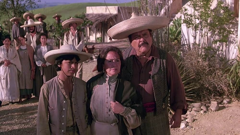 サボテン・ブラザースの画像