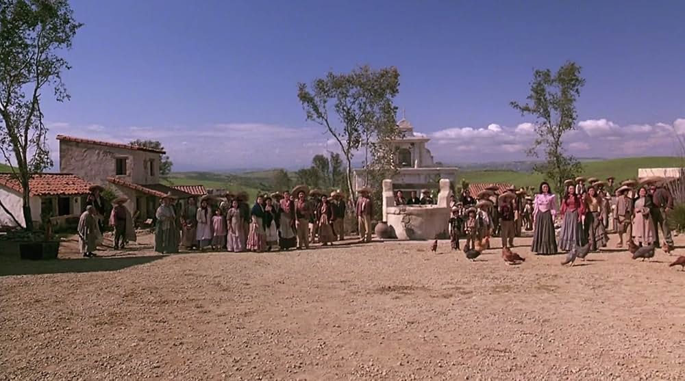 サボテン・ブラザースの画像