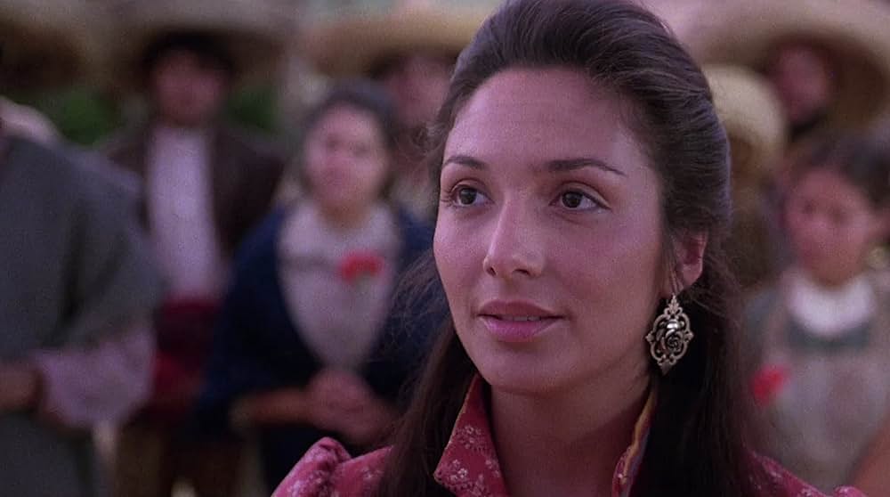 サボテン・ブラザースの画像