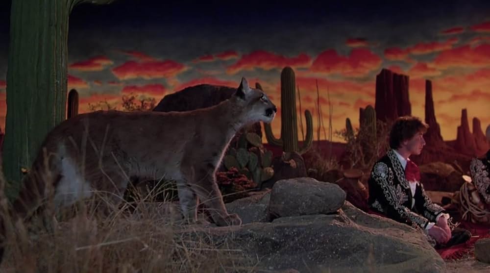 サボテン・ブラザースの画像