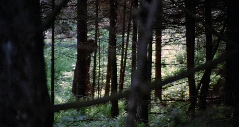 暗黒の8月の画像