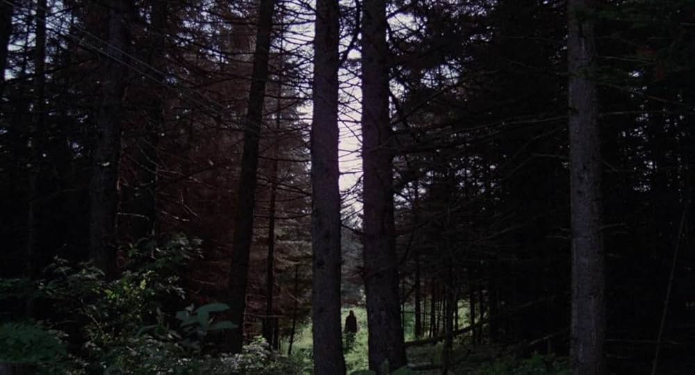 暗黒の8月の画像