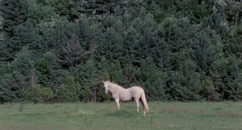 暗黒の8月の画像